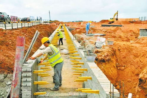 ?？谑凶T仙農(nóng)產(chǎn)品加工產(chǎn)業(yè)園一期項目進(jìn)度已超40%，預(yù)計年底完工