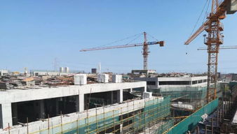 中國電工電器城八月工程進度播報 穩步推進，共建產業新高地